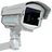 baldnate