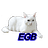 EIGatoBlanco