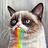 Nifty255 Nifty255