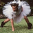 Scott_Lucas