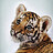 TigerHix